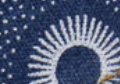 Navy Circles